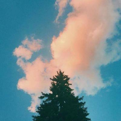 万博manbet登录手机版截图