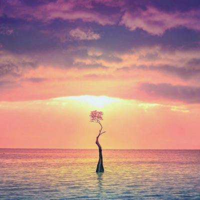 万博manbet登录手机版